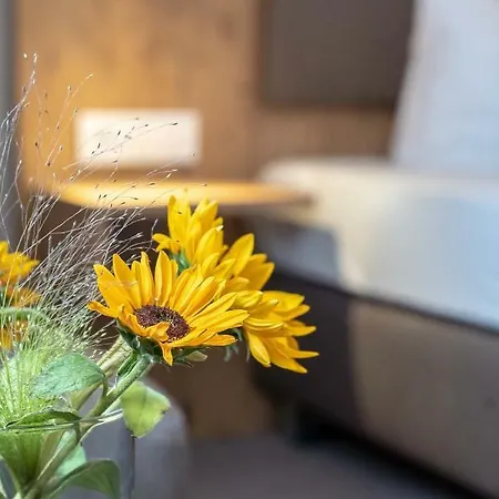 & Restaurant Ritter Joerg 호텔 4*