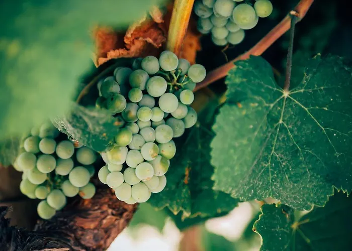 فندق & Restaurant Ritter Joerg