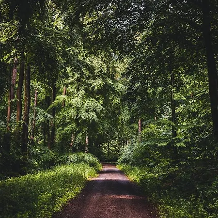 ホテル & Restaurant Ritter Joerg